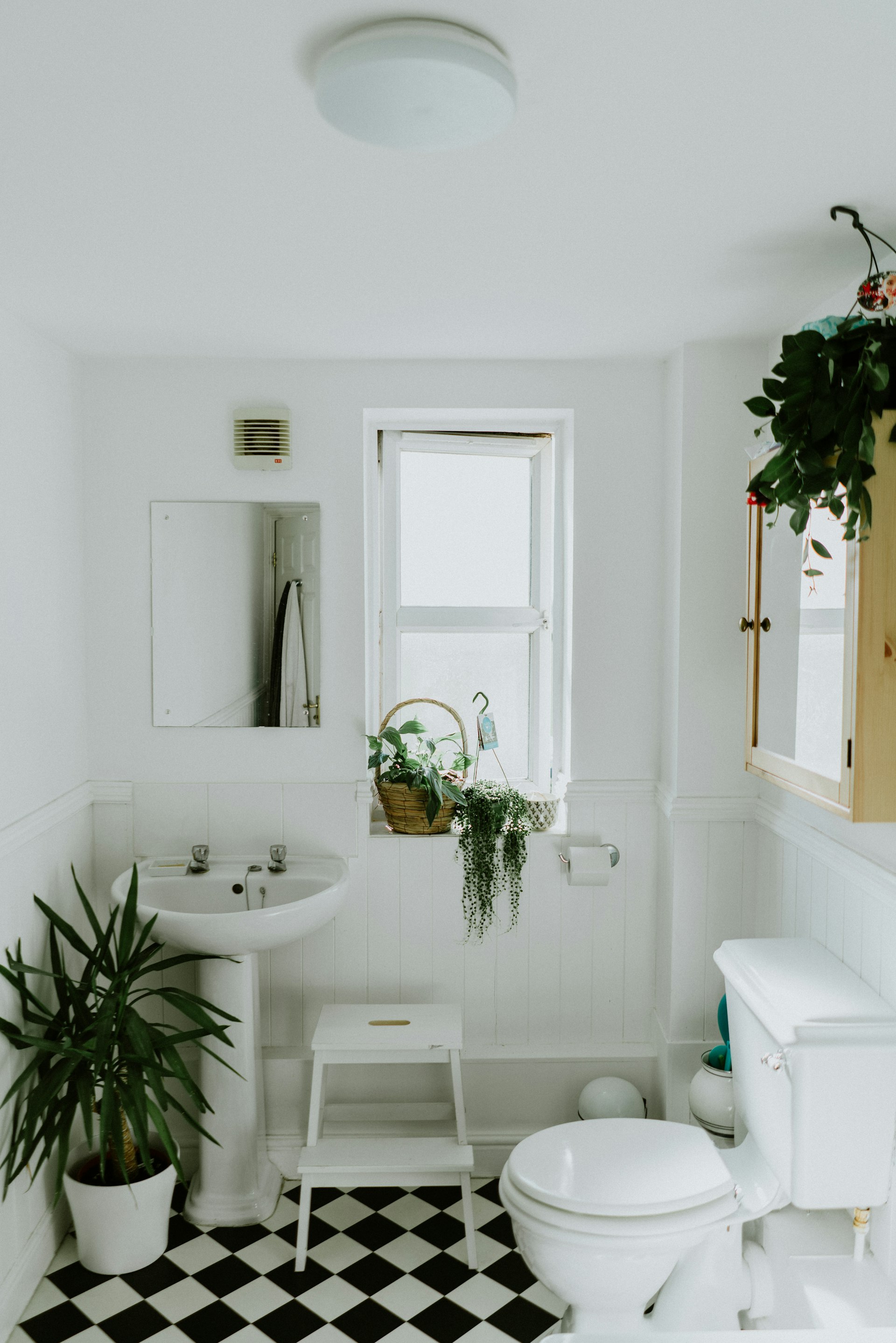 Modern Bathroom Architecture and Sanitary